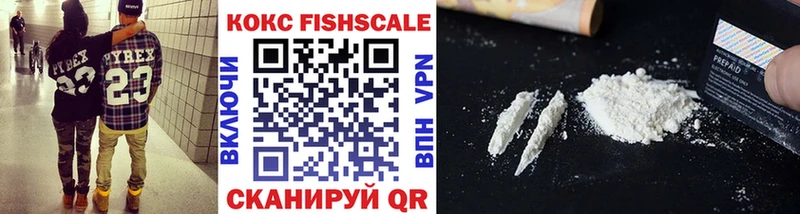 COCAIN Fish Scale  Городище 