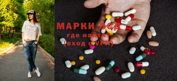 ПСИЛОЦИБИНОВЫЕ ГРИБЫ Баксан