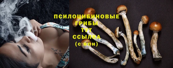 ГАЛЛЮЦИНОГЕННЫЕ ГРИБЫ Мегион