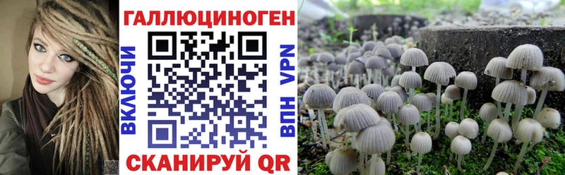 Псилоцибиновые грибы прущие грибы  Городище 